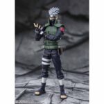 FIG-TH2196